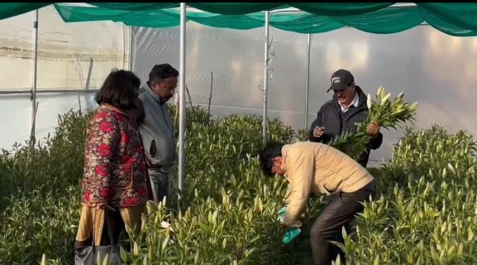 मातृशक्ति ने लिलियम की खुशबू से गढ़ी नई पहचान